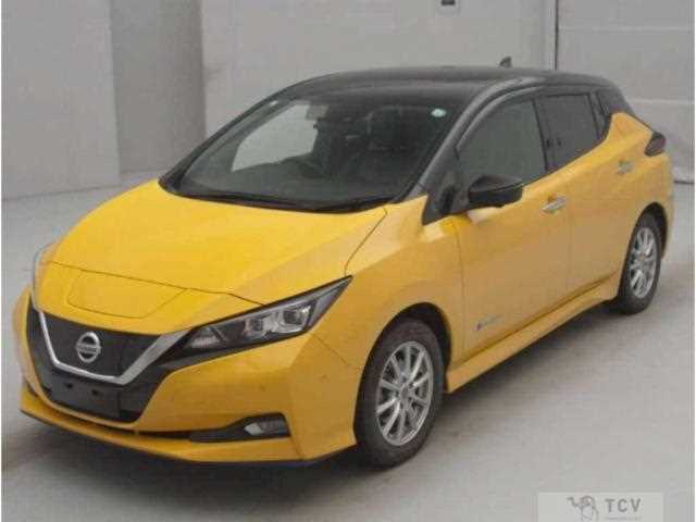 2019 Nissan Leaf