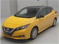 2019 Nissan Leaf