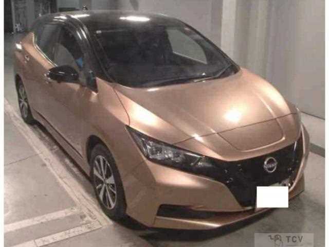 2021 Nissan Leaf