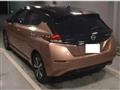 2021 Nissan Leaf