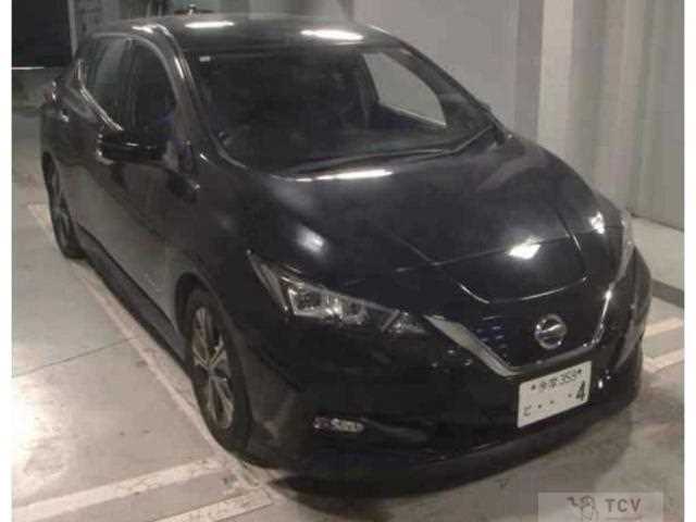 2020 Nissan Leaf
