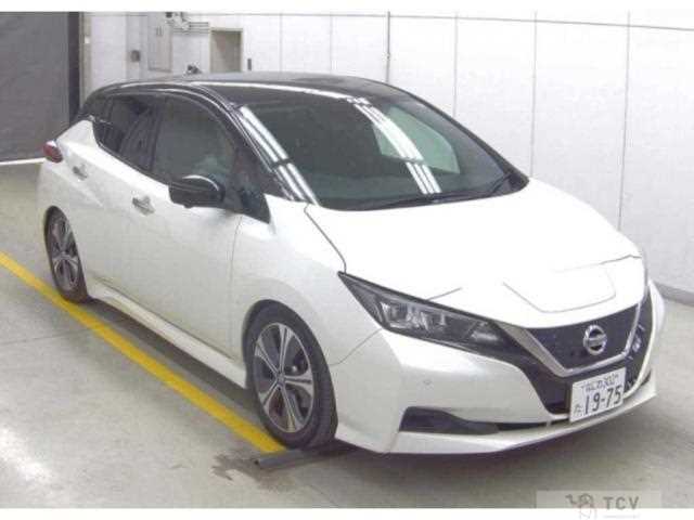 2021 Nissan Leaf