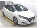 2021 Nissan Leaf