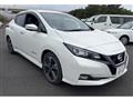 2019 Nissan Leaf