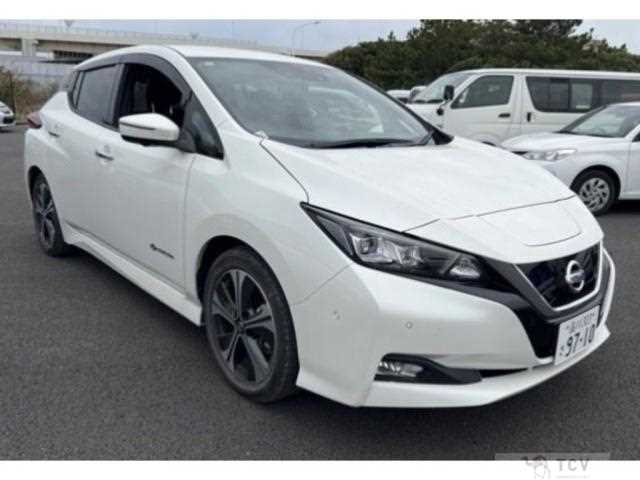 2019 Nissan Leaf