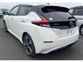 2019 Nissan Leaf
