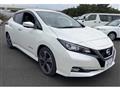 2019 Nissan Leaf