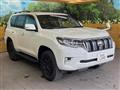 2019 Toyota Land Cruiser Prado
