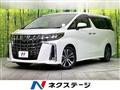 2019 Toyota Alphard G