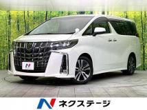 2019 Toyota Alphard G