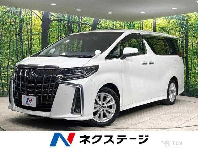 2019 Toyota Alphard G