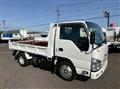 2020 Isuzu Elf Truck