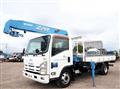 2011 Isuzu Elf Truck