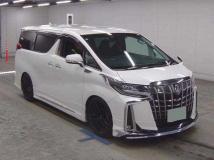 2019 Toyota Alphard G