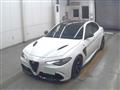 2019 Alfa Romeo Alfa Romeo Others