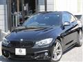2015 BMW BMW Others