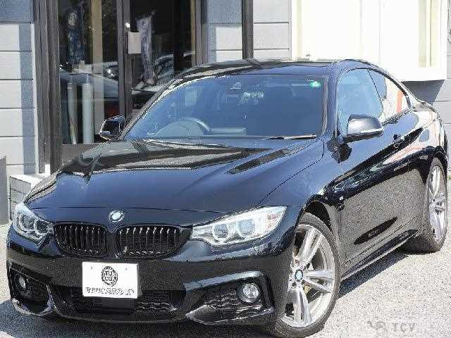 2015 BMW BMW Others