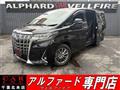 2019 Toyota Alphard Hybrid
