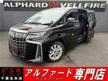 2019 Toyota Alphard G