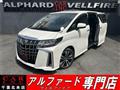 2019 Toyota Alphard G