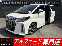 2019 Toyota Alphard G