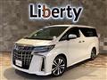 2019 Toyota Alphard G