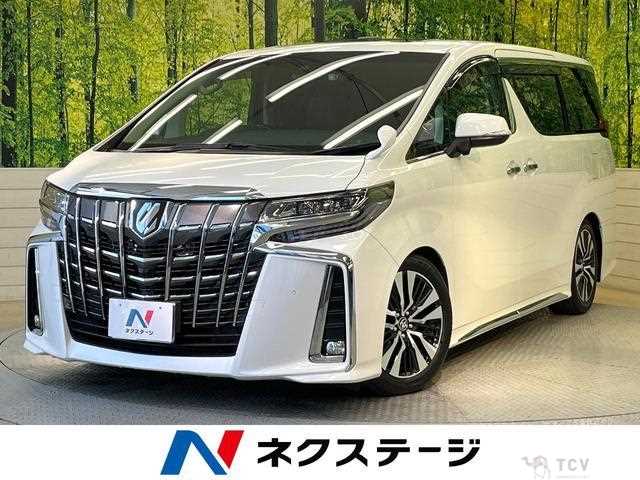 2019 Toyota Alphard G