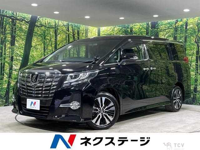 2017 Toyota Alphard G