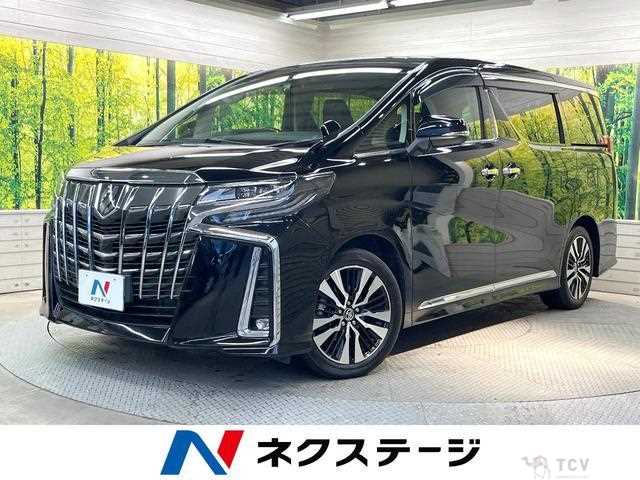 2019 Toyota Alphard G