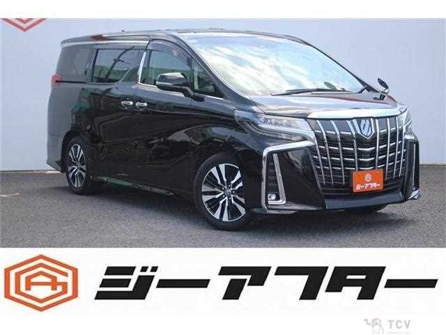 2020 Toyota Alphard G