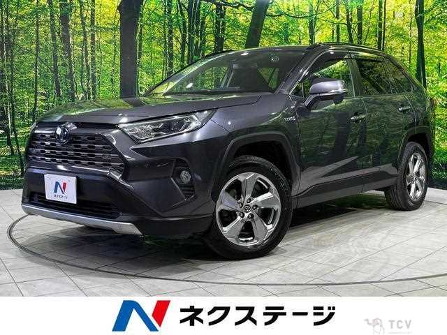 2019 Toyota RAV4
