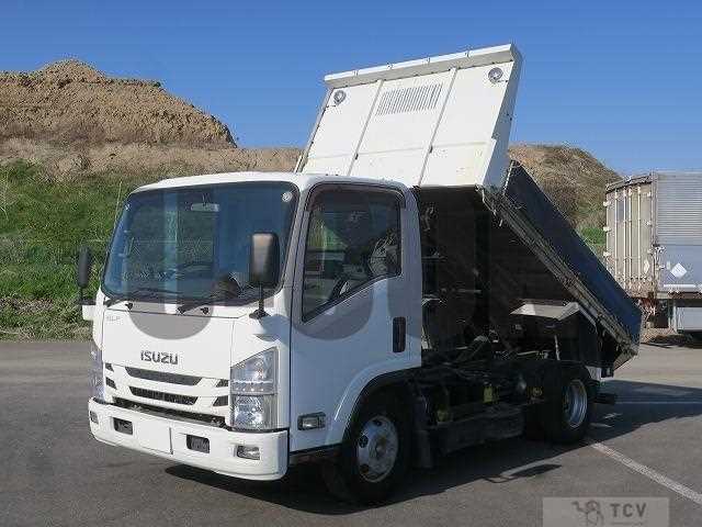 2017 Isuzu Elf Truck