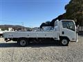 2020 Isuzu Elf Truck