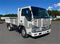 2020 Isuzu Elf Truck