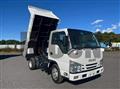 2020 Isuzu Elf Truck