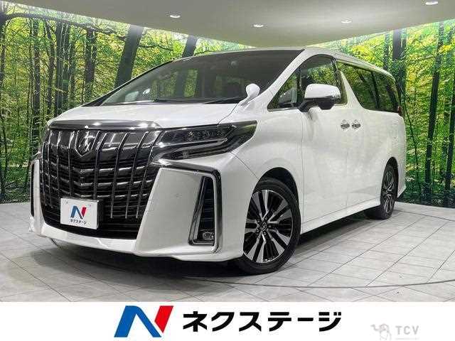 2019 Toyota Alphard G