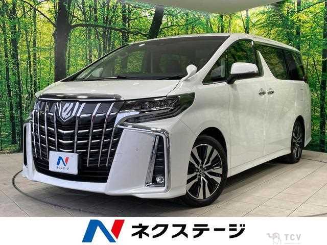 2019 Toyota Alphard G