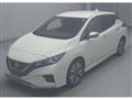 2021 Nissan Leaf