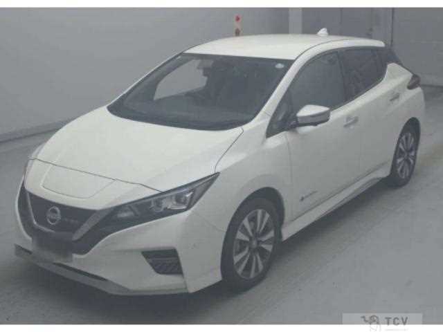 2021 Nissan Leaf