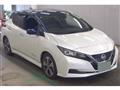 2020 Nissan Leaf
