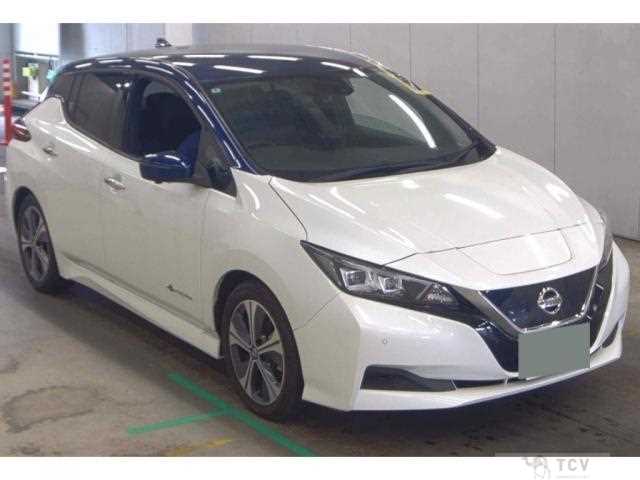 2020 Nissan Leaf
