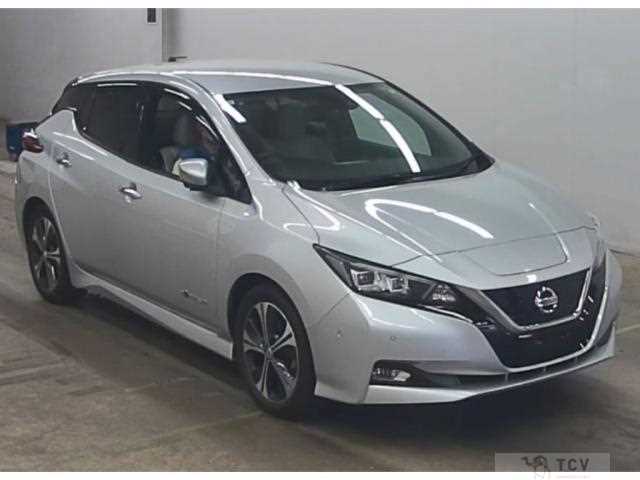 2019 Nissan Leaf