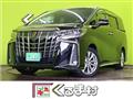 2021 Toyota Alphard G
