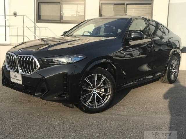 2025 BMW X6