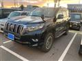 2019 Toyota Land Cruiser Prado