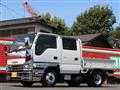 2019 Isuzu Elf Truck