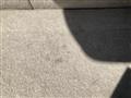 2007 Suzuki MR Wagon