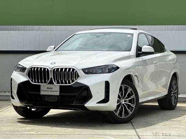 2025 BMW X6