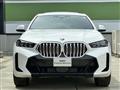 2025 BMW X6
