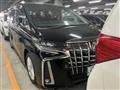 2021 Toyota Alphard G
